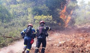 Πολύ Υψηλός Κίνδυνος Πυρκαγιάς την Τρίτη στις Π.Ε. Ηρακλείου, Λασιθίου και Ρεθύμνου