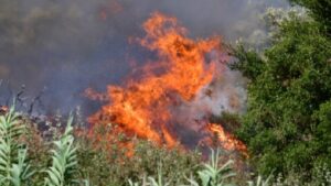 Χανιά: Πυρκαγιά σε χωράφι στο Ακρωτήρι | Άμεση κινητοποίηση της Πυροσβεστικής