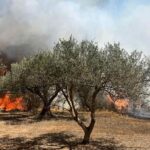Πολύ υψηλός κίνδυνος πυρκαγιάς σε ολόκληρη την Κρήτη και σήμερα Κυριακή