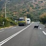 ΒΟΑΚ: Νέα παράταση στο διαγωνισμό στο τμήμα Χανιά-Χερσόνησος
