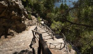 Κρήτη: Σε αυτές τις περιοχές απαγορεύεται η διέλευση, σύμφωνα με τον χάρτη πρόβλεψης κινδύνου πυρκαγιάς