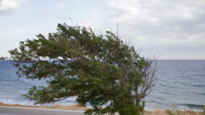 Ριπές ανέμου έως 108 km/h στην Κρήτη