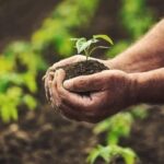 Σωματείο Μισθωτών Τεχνικών: Αλληλεγγύη στους Αγρότες του Οροπεδίου Λασιθίου και το Σύλλογο τους