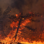 Πολύ υψηλός κίνδυνος πυρκαγιάς στην κατηγορία 4 για όλο τον Νομό Χανίων