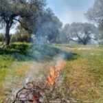 Κρήτη: Πρόγραμμα καθαρισμού δημοτικών και αγροτικών δρόμων από άγρια βλάστηση