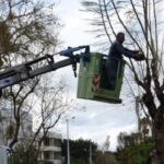 Προγραμματισμένες εργασίες κλαδέματος στον Δήμο Χανίων