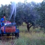 Πρώτος δολωματικός ψεκασμός στο Ρέθυμνο – Δείτε τις περιοχές