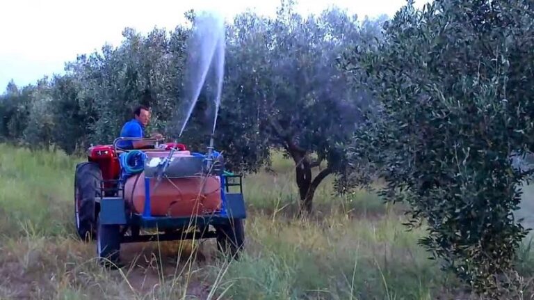 Περιφέρεια Κρήτης: Ενημέρωση για την πορεία του Προγράμματος Δακοκτονίας