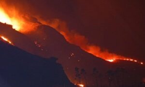 Κρήτη: Υπό πλήρη έλεγχο η φωτιά στην Κριτσά