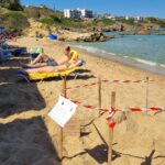 Χανιά: Φωλιά θαλάσσιας χελώνας και στη παραλία του Καλαθά | φωτο