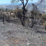 Κρήτη: Ολοκληρωτική καταστροφή στο Αμάρι | Δορυφορική αποτύπωση των καμένων εκτάσεων