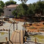 Την Τρίτη 27 Αυγούστου η εκδήλωση του Σχολικού Μουσείου στην Αμνάτο