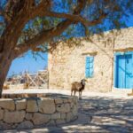 Δεν οφείλονται στο νερό της Γαύδου τα κρούσματα γαστρεντερίτιδας