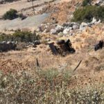 Κρήτη: Εκσκαφέας έπεσε στον γκρεμό | Ένας άνδρας νεκρός, ένας τραυματίας (φώτο)