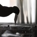Εκλογές για νέο Δ.Σ. και αντιπροσώπους στη ΔΟΕ στον ΣΕΠΕ Χανίων