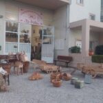 Παραδοσιακή Στράτα του Δήμου Χανίων | Την Τρίτη με το δρώμενο «Η στράτα της χαράς, της δουλειάς, των μεταφορών & του εμπορίου»