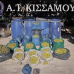 Χανιά: “Λαβράκι” έβγαλε η αστυνομική επιχείρηση | Κατασχέθηκαν περισσότερα από 35 κιλά κάνναβης | φωτο