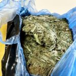Κρήτη: Νέα σύλληψη για ναρκωτικά | Είχε πάνω από μισό κιλό χασίς (φώτο)