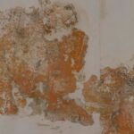 Μίνα Αρχοντάκη: “Εδώ τα δέντρα είναι πιο ψηλά από τα σπίτια”