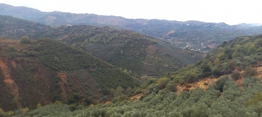 Η εκδρομή της ΙΛΑΕΚ στα Κεραμειά | φωτο