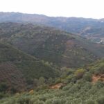 Η εκδρομή της ΙΛΑΕΚ στα Κεραμειά | φωτο