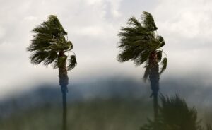 Ισχυροί άνεμοι και αυξημένος κίνδυνος πυρκαγιάς – Άνοδος της θερμοκρασίας από τα μέσα της εβδομάδας