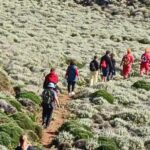 Χανιά: Τραυματισμός γυναίκας στο φαράγγι της Αγίας Ειρήνης