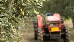 Νέα έκτακτη Γενική Συνέλευση στον Αγροτικό Σύλλογο Ιεράπετρας