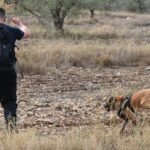 Κρήτη: Ώρες αγωνίας για την εξαφάνιση γυναίκας- Σε εξέλιξη επιχείρηση εντοπισμού