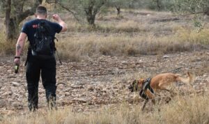 Κρήτη: Ώρες αγωνίας για την εξαφάνιση γυναίκας- Σε εξέλιξη επιχείρηση εντοπισμού