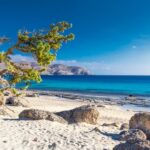 Κεδρόδασος: Ένας από τους τελευταίους ανέγγιχτους παράδεισους (video)