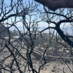 Κρήτη: Σε κατάσταση έκτακτης ανάγκης εξαιτίας της μεγάλης πυρκαγιάς κηρύχθηκε ο Δήμος Ιεράπετρας