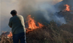 Κρήτη: Κινητοποίηση της Πυροσβεστικής για δύο πυρκαγιές