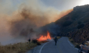 Πυρκαγιά σε χαμηλή βλάστηση στην Αγία Τριάδα Σητείας
