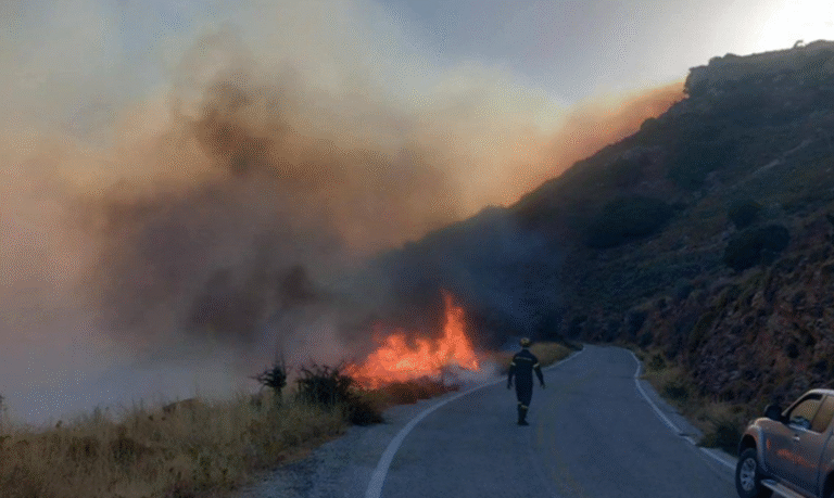 Πυρκαγιά σε χαμηλή βλάστηση στην Αγία Τριάδα Σητείας