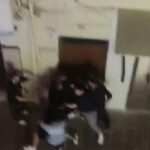 Συλλήψεις από την ΕΛ.ΑΣ. για την συμπλοκή στο Ρέθυμνο τα ξημερώματα του Σαββάτου