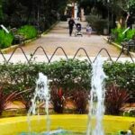 Εθελοντική δεντροφύτευση την Κυριακή 12 Οκτωβρίου, στο Δημοτικό Κήπο Ρεθύμνου