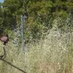 Κρήτη: Εθελοντική Δράση Καθαρισμού κοινόχρηστων χώρων και οδικών δικτύων