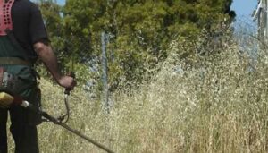 Κρήτη: Εθελοντική Δράση Καθαρισμού κοινόχρηστων χώρων και οδικών δικτύων