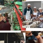 ΕΒΕΧ: Πρόγραμμα δωρεάς παραγωγικού εξοπλισμού για την ενίσχυση μικρών μεταποιητικών επιχειρήσεων