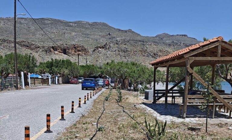 Λασίθι: Δράση δεντροφύτευσης στην Κάτω Ζάκρο και τον Ξερόκαμπο