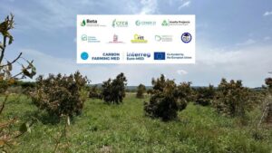 Χανιά: Συμμετοχή Πολυτεχνείου Κρήτης στο Ευρωπαϊκό Έργο Carbon Farming MED