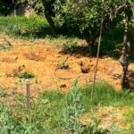 Χανιά: Νεκρή εντοπίστηκε η 45χρονη Σταυρούλα Λεβεντάκη – Ομολόγησε ο 43χρονος | φωτο