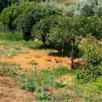 Χανιά: Δεμένη και φιμωμένη βρέθηκε η σορός της 45χρονης