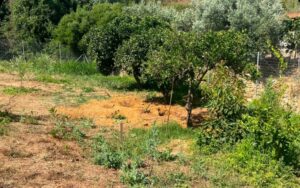 Χανιά: Δεμένη και φιμωμένη βρέθηκε η σορός της 45χρονης