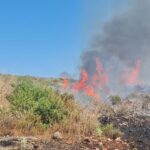 Χανιά: Κινητοποίηση της Πυροσβεστικής από  πυρκαγιά στο Ακρωτήρι | φωτο