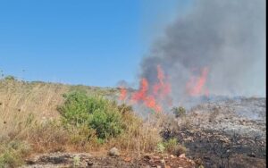 Χανιά: Κινητοποίηση της Πυροσβεστικής από  πυρκαγιά στο Ακρωτήρι | φωτο