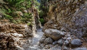 Xανιά: Επιχείρηση διάσωσης στο Φαράγγι της Ίμπρου