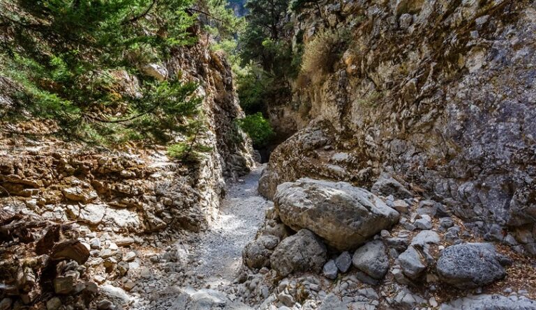 Xανιά: Επιχείρηση διάσωσης στο Φαράγγι της Ίμπρου