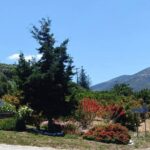 Χανιά: Συνεχίζονται οι πεζοπορικές διαδρομές του Δήμου Πλατανιά – Την Κυριακή 7 Ιουνίου στη Λίμνη Ζουνακίου  η επόμενη